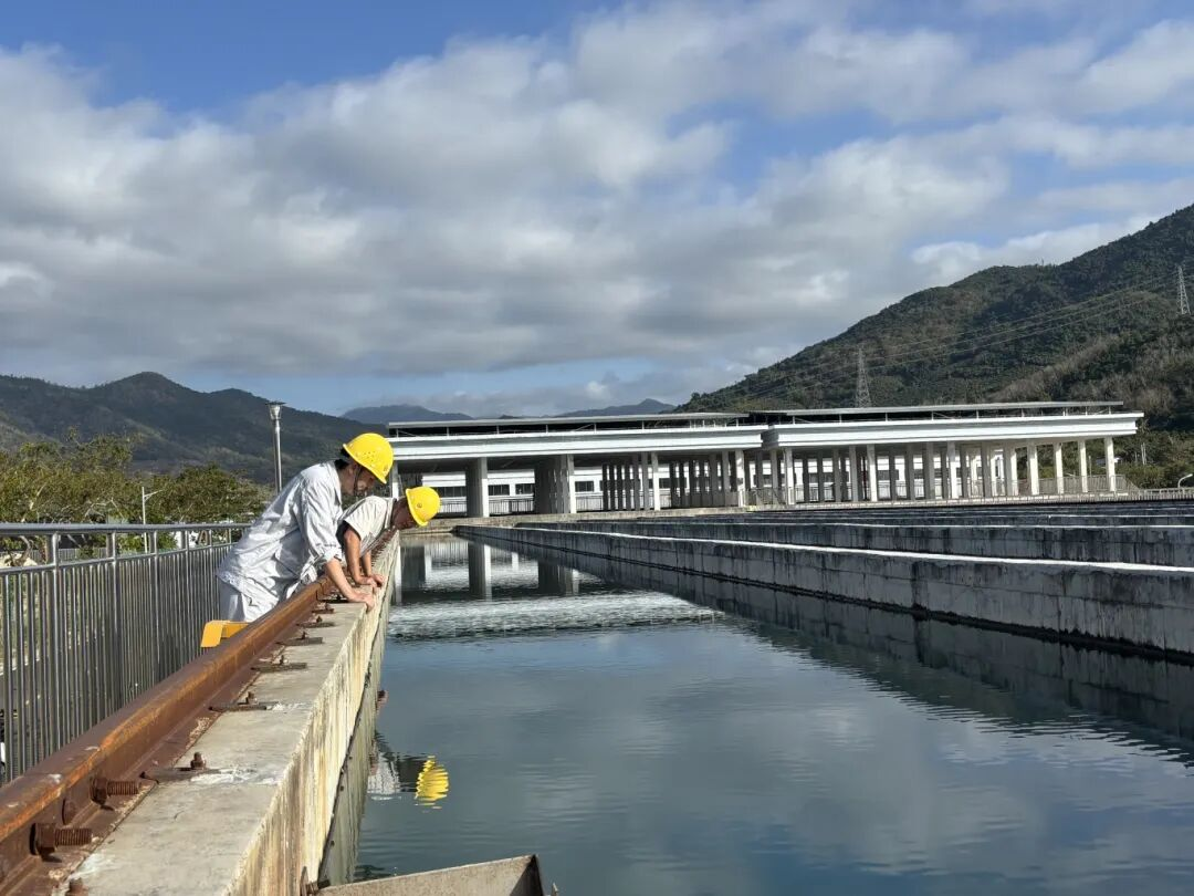 實干開新局  三亞環(huán)農(nóng)集團(tuán)吹響全面復(fù)工復(fù)產(chǎn)“集結(jié)號”